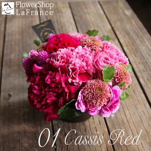 y ŒZz13Y t[ a j NX}X t[AWg t[Mtg  Mtg  Mtg  LO ސE v[g  摜zM A