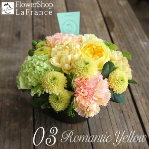 y ŒZz13Y t[ a j NX}X t[AWg t[Mtg  Mtg  Mtg  LO ސE v[g  摜zM A