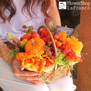 H ڂ t[AWg nEB Ԍ  G߂̉ v[g Mtg  J{` IW oXPbg  j ސE p[eB 摜  JX \ 