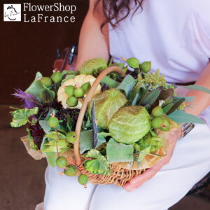 ڂ t[AWg nEB Ԍ  G߂̉ v[g Mtg  J{` zCg oXPbg  j ސE p[eB 摜  JX \ y