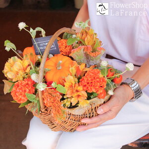 ڂ t[AWg nEB Ԍ  G߂̉ v[g Mtg  J{` IW oXPbg  j ސE p[eB 摜  JX \ y