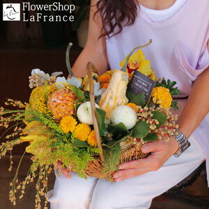 H ڂ t[AWg nEB Ԍ  G߂̉ v[g Mtg  J{` ~bNX oXPbg  j ސE p[eB 摜  JX \ 