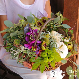 ڂ t[AWg nEB Ԍ  G߂̉ v[g Mtg  J{` zCg oXPbg  j ސE p[eB 摜  JX \ y