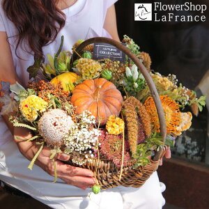 H ڂ t[AWg nEB Ԍ  G߂̉ v[g Mtg  J{` ~bNX oXPbg  j ސE p[eB 摜  JX \ 