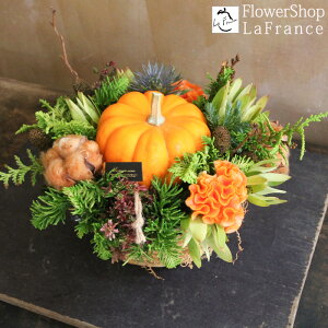 H ڂ t[AWg nEB Ԍ  G߂̉ v[g Mtg  J{` IW oXPbg  j ސE p[eB 摜  JX \ 