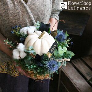 H ڂ t[AWg nEB Ԍ  G߂̉ v[g Mtg  J{`  zCg oXPbg  j ސE p[eB 摜  JX \