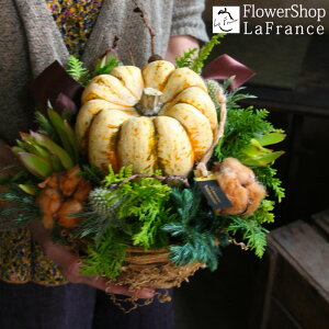 H ڂ t[AWg nEB Ԍ  G߂̉ v[g Mtg  J{` ̗ oXPbg  j ސE p[eB 摜  JX \ 