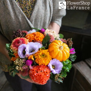 H ڂ t[AWg nEB Ԍ  G߂̉ v[g Mtg  J{` IW oXPbg  j ސE p[eB 摜  JX \ 