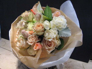 GWFYtbgԑ ԑ LO j 蕨 j t[ Mtg v[g a oYj LO JXj JXj   o   x