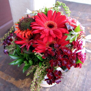 }[V AWg LO j 蕨 j t[ Mtg v[g a oYj LO JXj JXj   o   