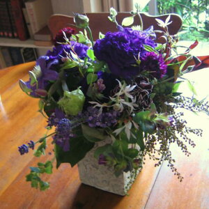 J^[r AWg LO j 蕨 j t[ Mtg v[g a oYj LO JXj JXj   o   