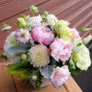 eT AWg ԑ LO j 蕨 j t[ Mtg v[g a oYj LO JXj JXj   o   p