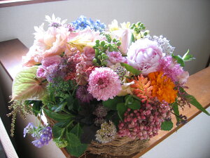 ~EAWF AWg ԑ LO j 蕨 j t[ Mtg v[g a oYj LO JXj JXj   o  