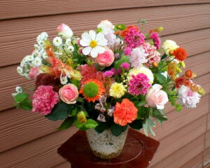 ~EA[i  t[AWg LO j 蕨 j t[ Mtg v[g a oYj LO JXj JXj   