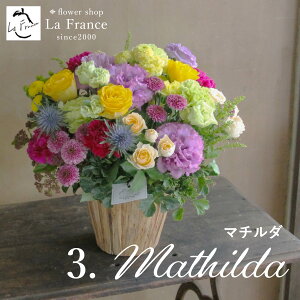 zB a җ ސE  o t[AWg   Mtg j LO LO    JXj KN j IV 킢 S[WX i`