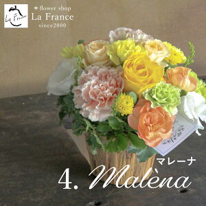 zB a hV̓ җ ސE v[g  o t[AWg   Mtg j LO j LO    JXj o oYj j