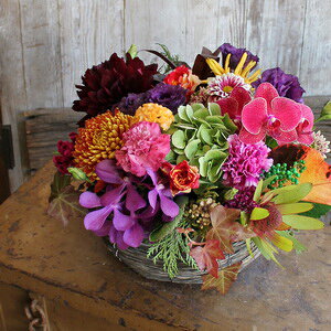 JChXR[v AWg ԑ LO j 蕨 j t[ Mtg v[g a oYj LO JXj JXj   o  