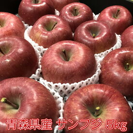 りんご 秀 約5キロ サンふじ 約5kg 糖度12度以上 リンゴ 林檎 ふじ 青森県産 フルーツ お歳暮 御歳暮 贈答品用 送料無料 JA 光センサー選果 訳ありではありません お歳暮