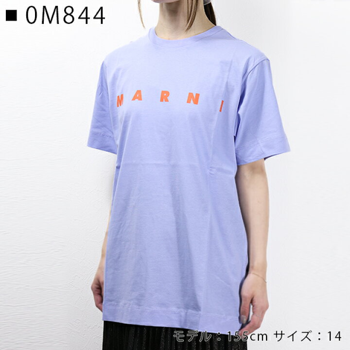 楽天市場】MARNI マルニ LOGO T-SHIRT Tシャツ 半袖 クルーネック ロゴ  