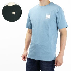 【ネコポス配送 1枚迄】Patagonia パタゴニア Ms Alpine Icon Regenerative Organic Pilot Cotton T-Shirt 37400 Tシャツ 半袖 オーガニック アウトドア カジュアル 山脈ロゴ コットン レディース メンズ ユニセックス 野外フェス 海 山 キャンプ