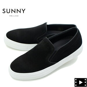 y[RTj[ Xj[J[ Y XG[hXb| WCA PELLICO SUNNY GIOIA PM23 M001 SUEDE PLS NERO