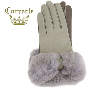 ファー付き レディース手袋 通販 人気ランキング 価格 Com