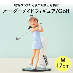 IWitBMA ʐ^ tBMA y17cm SttBMAzʐ^ St z[CLO 17cm ʐ^ ȒP a hV̓ LOi җj AObY 