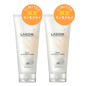 WF Iׂ2{ZbgySzWFgDEH[^[ NU[ 220mL LNZC ؍ WF p 痿 LAGOM XLPA Aĕsv Z ؍RX  