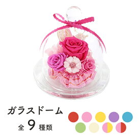 ミニブリザードフラワー お祝い 日本製 プリザーブドフラワー ガラスドーム ミニ プレゼント ギフト 母の日 敬老の日 長持ち 枯れない花