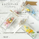 LAGOM ハーバリウム 【MAY】簡易箱付き 日本製 花束 母の日 ブー...