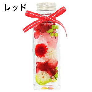 n[oE Mtg ȈՔt { ̓ Mtg v[g LO 蕨 bh sN t[Mtg  CeA NX}X a LO j JXj hV̓