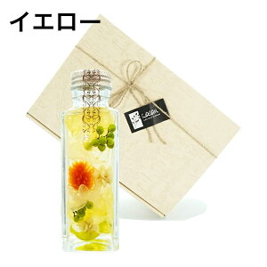 n[oE v[gBOXt { ̓ Mtg v[g LO 蕨 bh  t[Mtg  CeA NX}X a LO j JXj hV̓ Əj