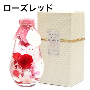 n[oE {g pBOXt Mtg ̓ v[g LO 蕨  ͂Ȃ vU[uht[ ̓ ̓ hV̓ hbv