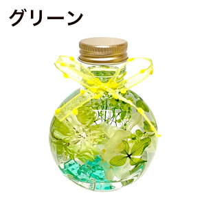 n[oE Mtg ̓ LO 蕨v`v v[g i  CeA c[^  yY v`Mtg Ƃv[g vU[uht[  {