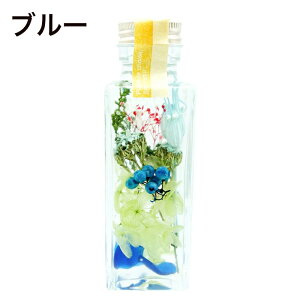 n[oE Mtg ȈՔt NX}X v[g a ̓ 蕨  LO v[g  wj މ@j j JXj hV Mtg  w  vU[u