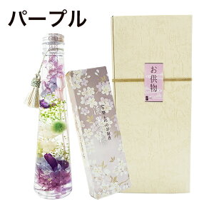  n[oE  Zbg vU[uht[ d p[v ~ ފ  ͂Ȃ CeA  hV   LAGOM  ̃CeA a_ NAO