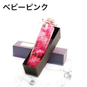 Mtg BOXt AW{ t[{g n[oE v[g p[v sN  {  ̓ t[Mtg  CeA vU[uht[ NX}X a LO 