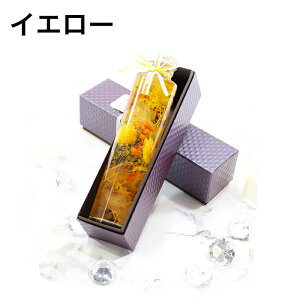 Mtg BOXt AW{ t[{g n[oE v[g p[v sN  {  ̓ t[Mtg  CeA vU[uht[ NX}X a LO 