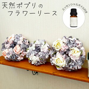 \t[[X |v GbZVIC Mtg v[g  t[Mtg   CeA a LO j JXj hV̓ ̓ Əj wj 