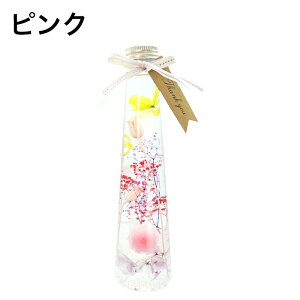 n[oE Mtg BOXt v`v v[g i  CeA sN c[^  yY v`Mtg Ƃv[g vU[uht[  n[oE KOMAC