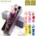 ギフト BOX付 ハーバリウム プレゼント 植物標本 フラワーボトル...