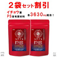 【2個おまとめ割引】 【管理栄養士推奨】 ホスファチジルセリン サプリ PS イチョウ葉 1日120mg シナプス…