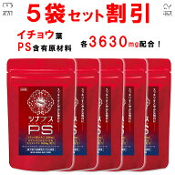 【5個おまとめ割引】 【管理栄養士推奨】 ホスファチジルセリン サプリ PS イチョウ葉 1日120mg シナプス…