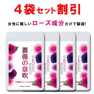 y4܂Ƃߊz [Y Tv o KN Tvg KN̑ VsjI ލ oTv [YIC G`Pbg tOX PA A} e  ΍ 90 ꃖ