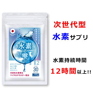 fTv H2 f̎ ~gRhA RGUCQ10 |_ Jj` NG_ }CNNX^[ fTvg Zx ސf f 12 Y ώ_JvZgp 