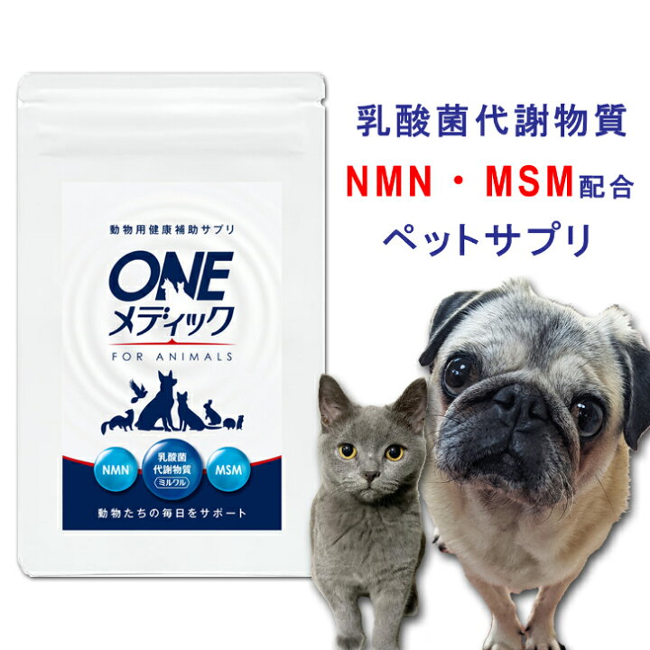 楽天市場 犬 猫 サプリ 乳酸菌 代謝物質 エナミル Mnm Msm 配合 免疫力 関節 骨 皮膚 アレルギー 胃腸 涙やけ 口腔ケア 毛並み 目やに 筋肉 ペット サプリメント 鳥 うさぎ ハムスター Oneメディック 35g 獣医と共同開発 La Idea