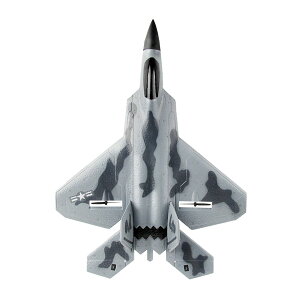 ���W�R����s�@ F-22 RC��s�@ �d�� ����ĊȒP�ɔ�΂��� �q���Ə��S�Ҍ����̃��W�R���O���C�_�[ �q�� ��l �j�̎q �� �v���[���g