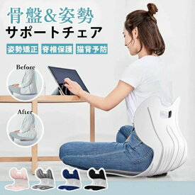 骨盤サポートチェア 姿勢サポートチェア 椅子 座椅子 クッション 姿勢矯正 脊椎保護 猫背予防 猫背防止 座り方を直す 骨盤を固める 3 D