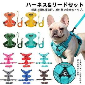 犬 ハーネスリードセット 超小型犬 中型犬 胴輪 犬ハーネスリード 抜けない ハーネスベルト ベーシックハーネス かわいい