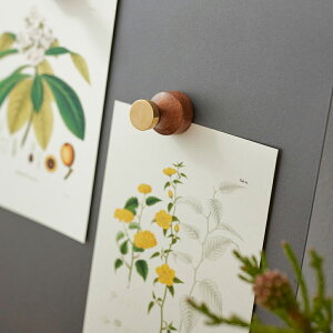 \P2倍+クーポン/木とBRASSのマグネットフック|真鍮 シンプル ディスプレイ インテリア 雑貨 おしゃれ マグネット 磁石 フック アカシア ナチュラル オフィス 展示 タオル 冷蔵庫